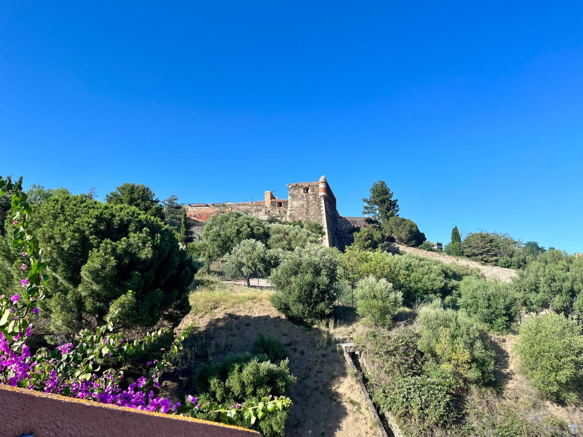 Appartement Collioure, Grande Terrasse Et Parking Dış mekan fotoğraf