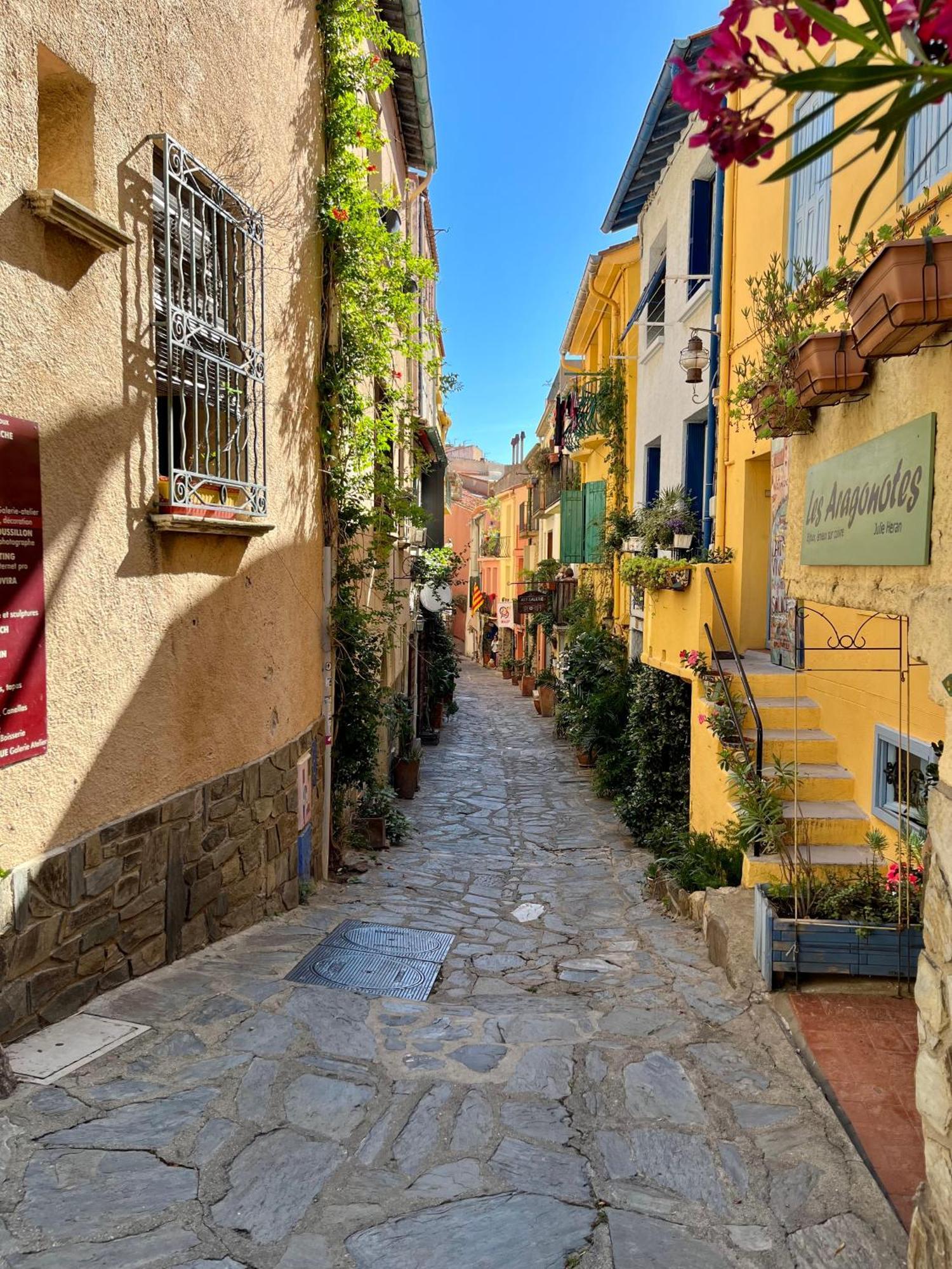 Appartement Collioure, Grande Terrasse Et Parking Dış mekan fotoğraf